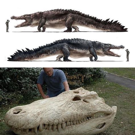 was deinosuchus bigger than sarcosuchus.